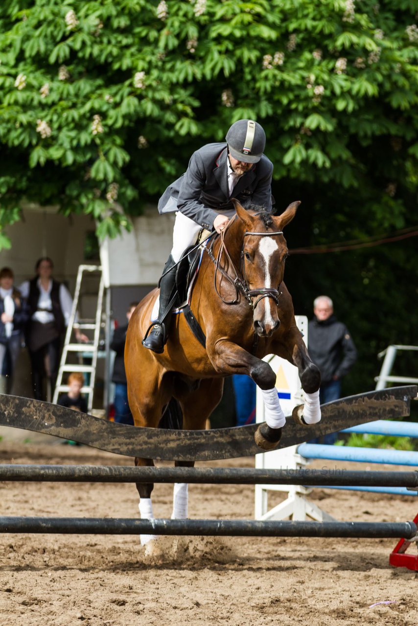 Bild 182 - Reitschule Janen Jubilum